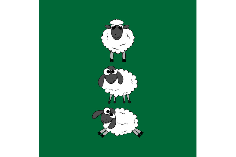 sheep