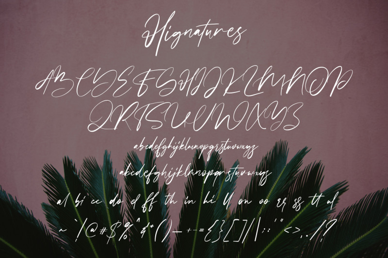 hignatures-signature-brush-font