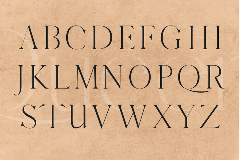 QUEEN An Elegant Serif Font By Dene Studios TheHungryJPEG