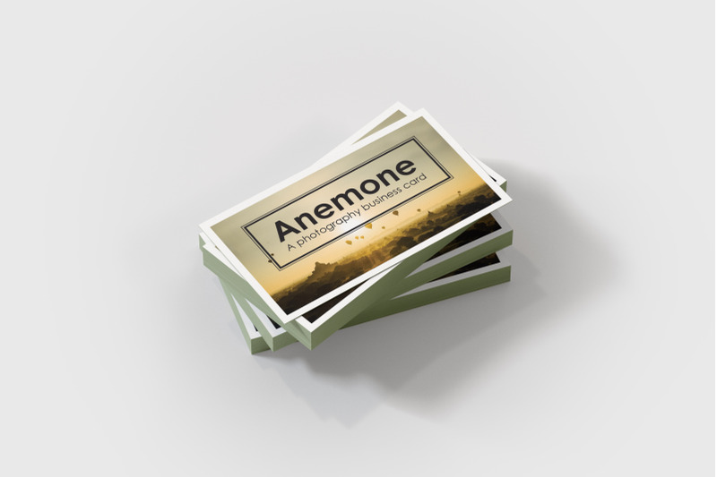 anemone-visual-stationary-template