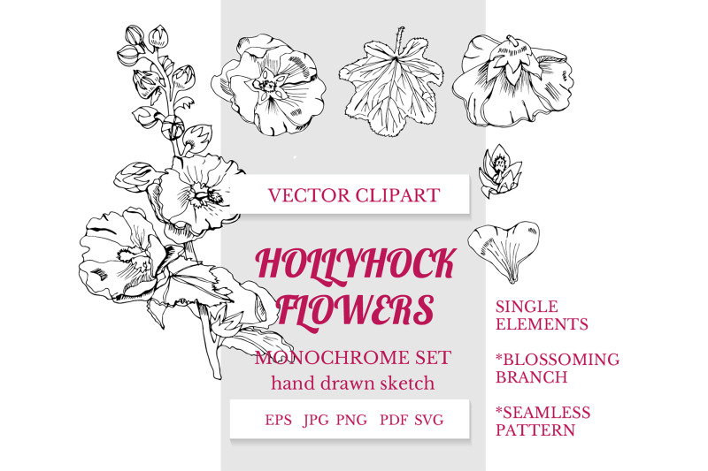 hand-drawn-floral-hollyhock-flowers-mallow-plants-alcea