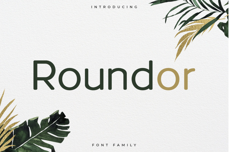 roundor-font-family-sans-serif