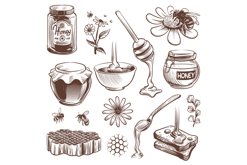 hand-drawn-honey-beekeeping-sketch-natural-organic-sweet-food-honey