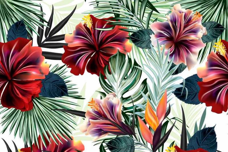 tropical-vector-hibiscus-set