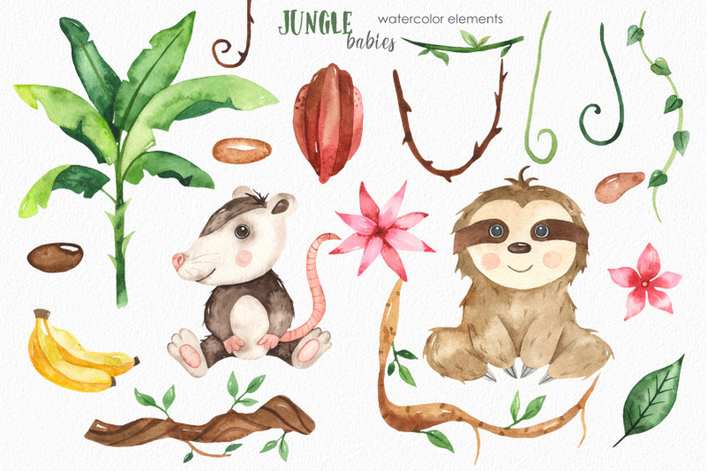 watercolor-jungle-babies-animals-clipart-frames-cards-patterns