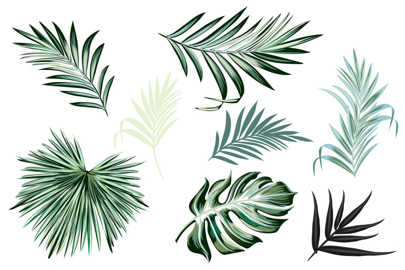jungle-palm-vector-leaves-set