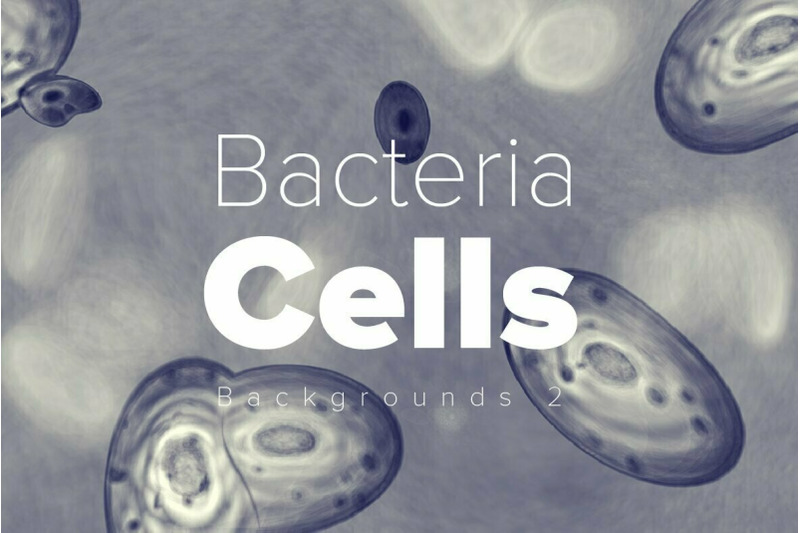 bacteria-cells-backgrounds-2