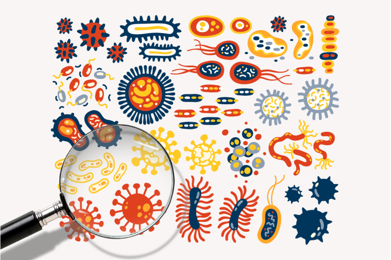 bacteriums-patterns-amp-illustrations