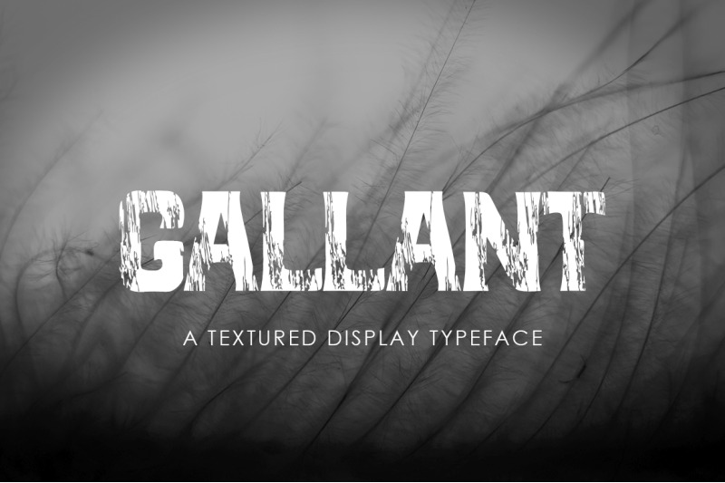 gallant-a-textured-display-font
