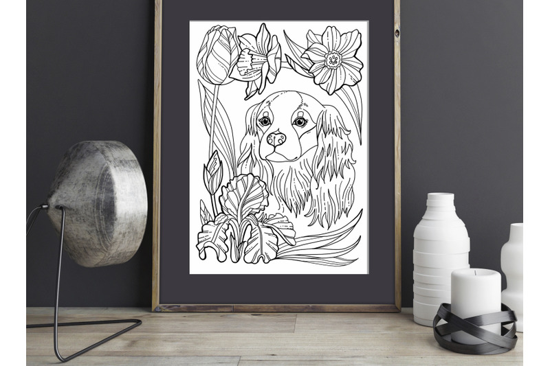 cavalier-king-charles-coloring-page