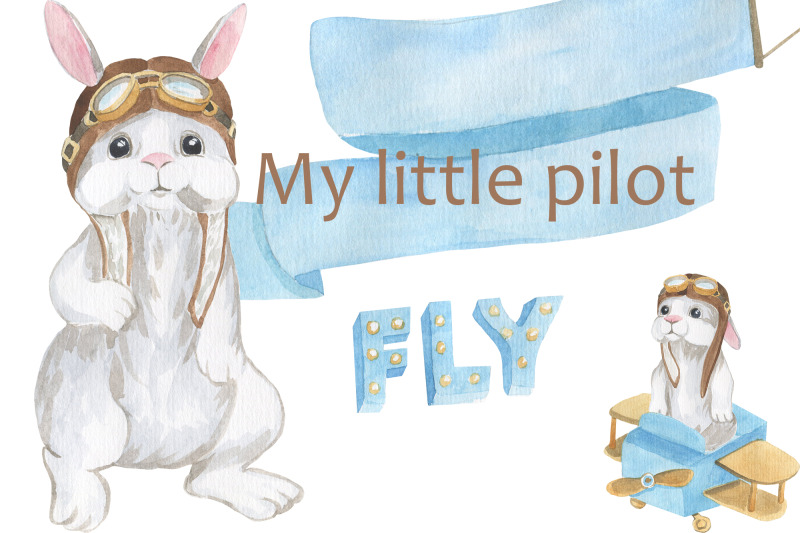 my-little-pilot-rabbit-little-pilot