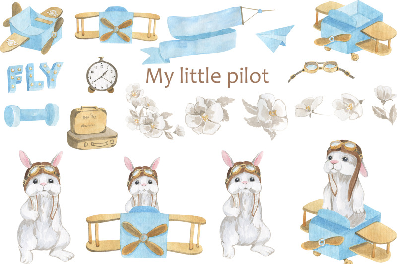 my-little-pilot-rabbit-little-pilot