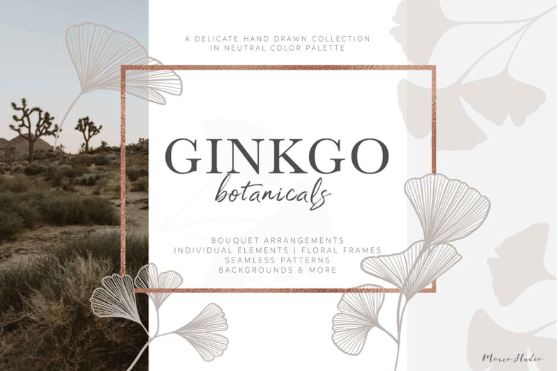 ginkgo-botanicals-florals-amp-leaves