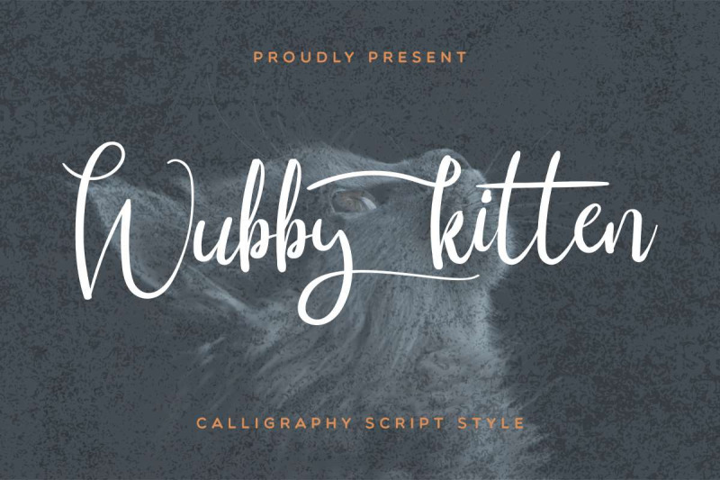 wubby-kitten