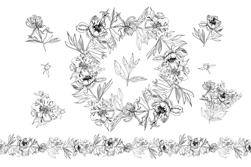 hand-drawn-sketch-of-peony-peony-bouquets-peony-wreath
