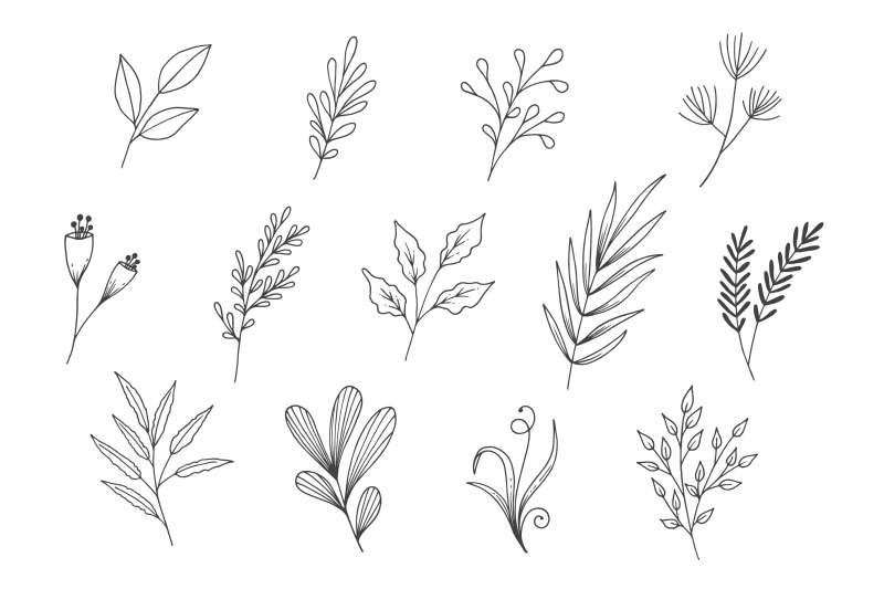 natural-leaves-line-art-collection