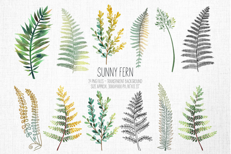 sunny-fern-tropical-forest-collection