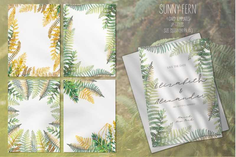 sunny-fern-tropical-forest-collection