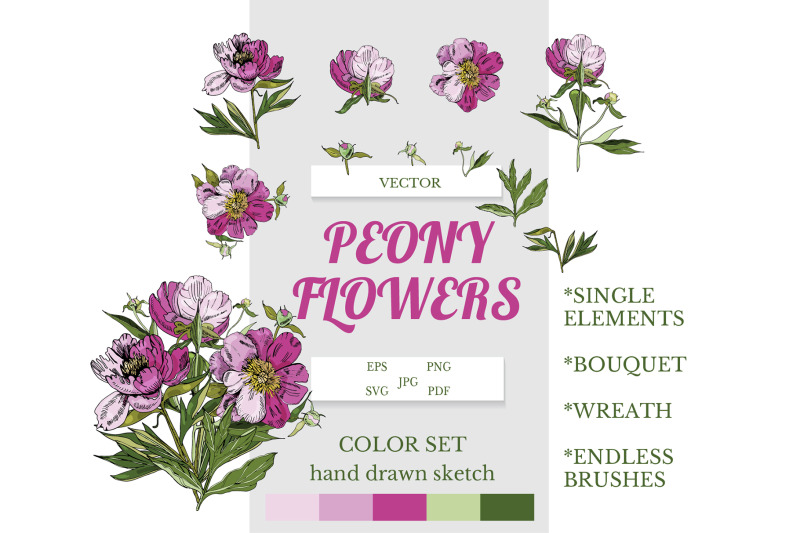 hand-drawn-sketch-of-peony-peony-bouquets-peony-wreath