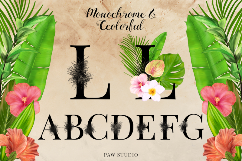 tropical-graphic-letters-numbers-floral-frames-monogram