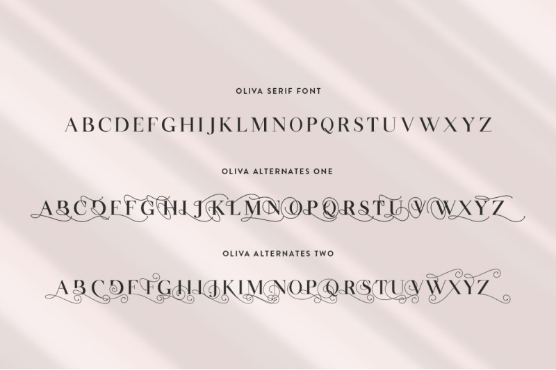 oliva-serif-font-trio-serif-font-swirly-font-swashes-font