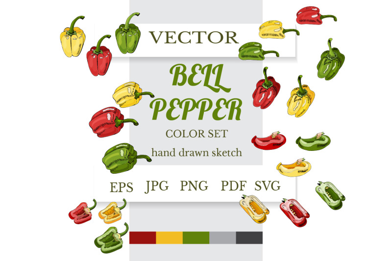 hand-drawn-sketch-of-bell-pepper-botanical-illustration