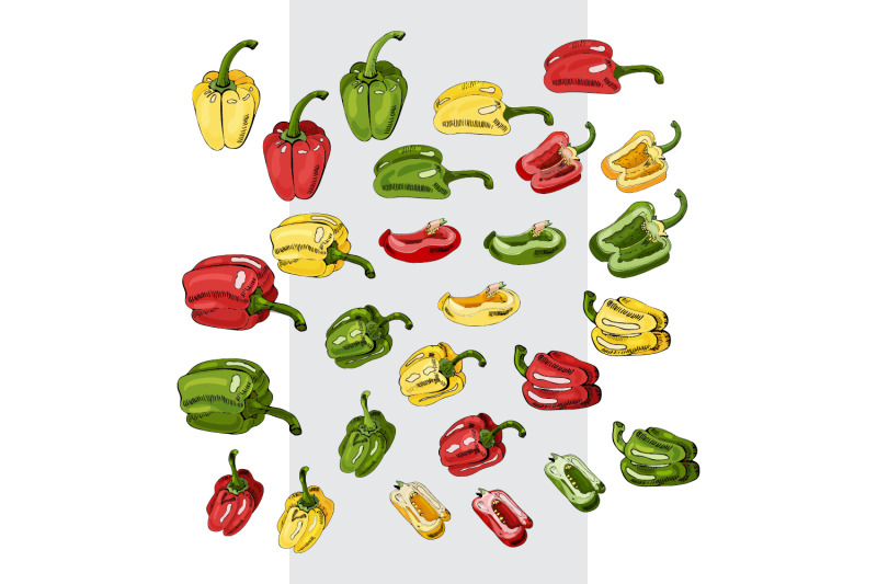 hand-drawn-sketch-of-bell-pepper-botanical-illustration