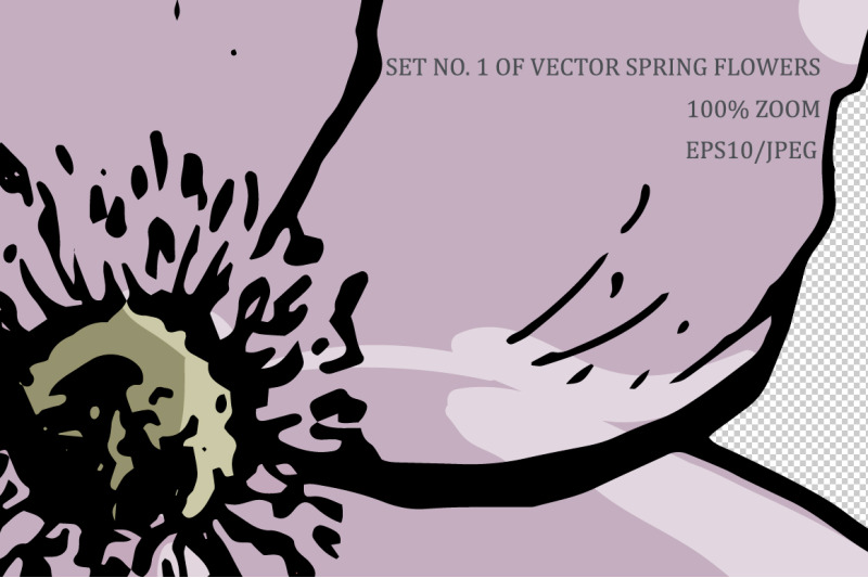 set-no-1-of-vector-spring-flowers