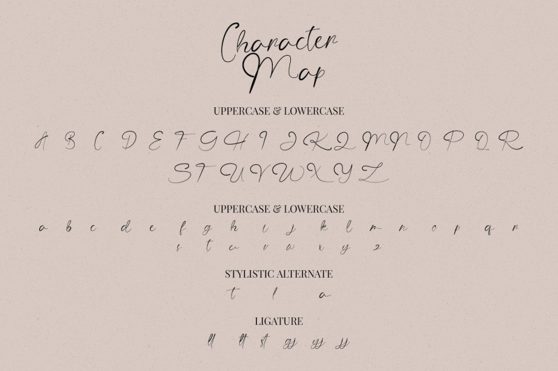 the-angellica-modern-calligraphy-font