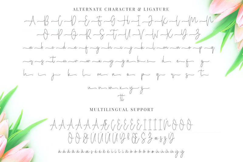 miya-wayne-modern-lovely-script-font