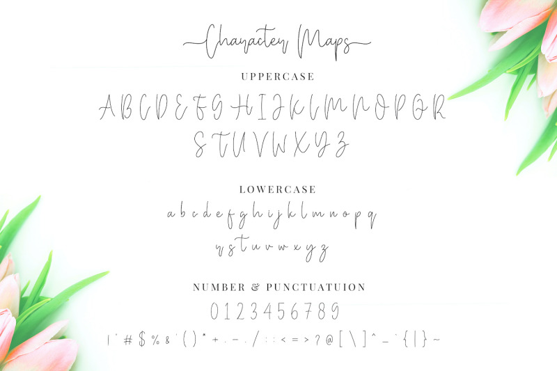 miya-wayne-modern-lovely-script-font