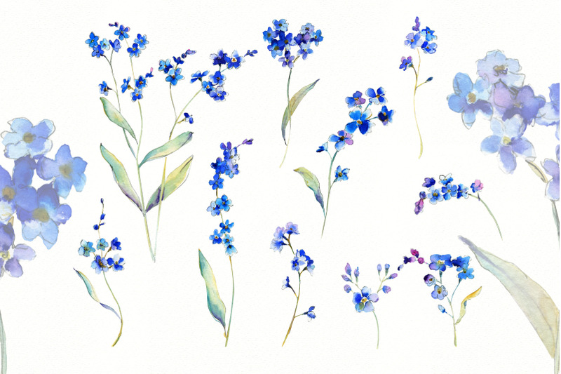 forget-me-not-blue-floral-clipart-watercolor-blue-flower-for-wedding