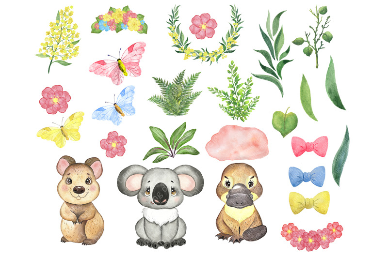 australian-animals-clipart-koala-clipart-watercolor-baby-animal