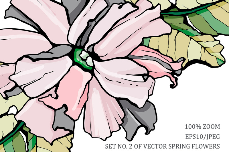 set-no-2-of-vector-spring-flowers