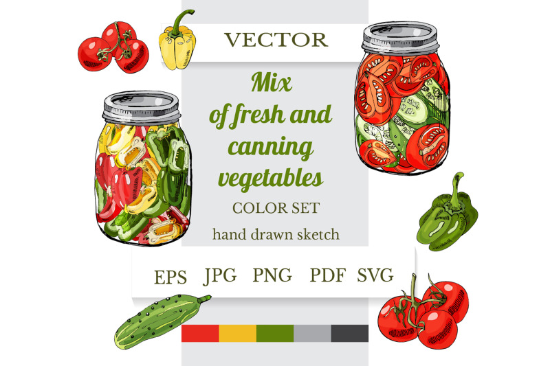hand-drawn-sketch-of-mix-of-fresh-and-canning-vegetables