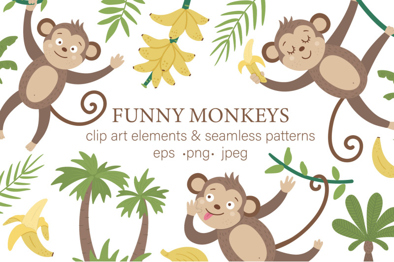 funny-monkeys