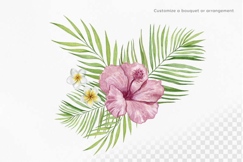 bouquet-generator-or-arrangement-tropical-flora-watercolor-set