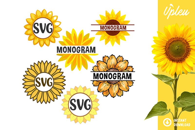 Download Sunflower Split Bundle SVG By ariodsgn | TheHungryJPEG.com