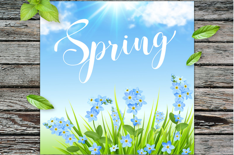 spring-background-with-blue-flowers