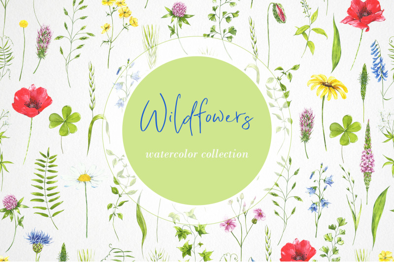 wildflowers-leaves-plants-watercolor-flowers-clipart-digital-cli