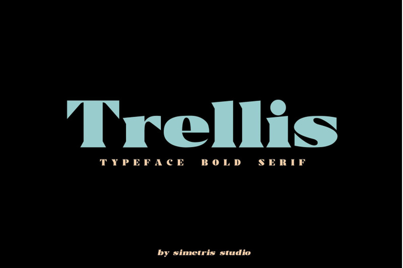 trellis-typeface-bold-serif