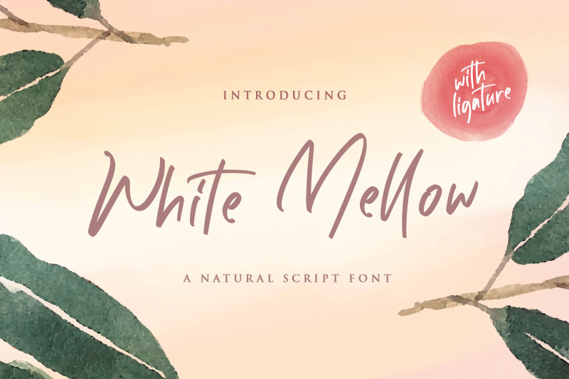 white-mellow-handwritten-script-font
