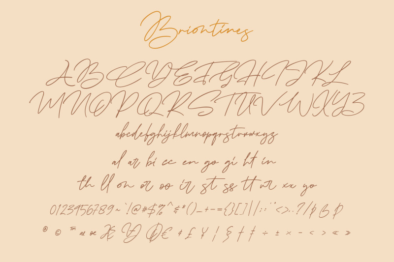 briontines-signature-font