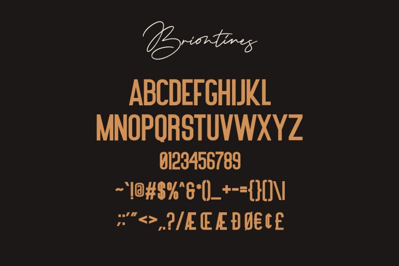briontines-signature-font