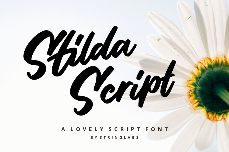 stilda-lovely-script-font