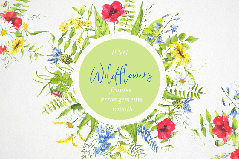 watercolor-flower-clipart-wildflowers-plants-flower-frame
