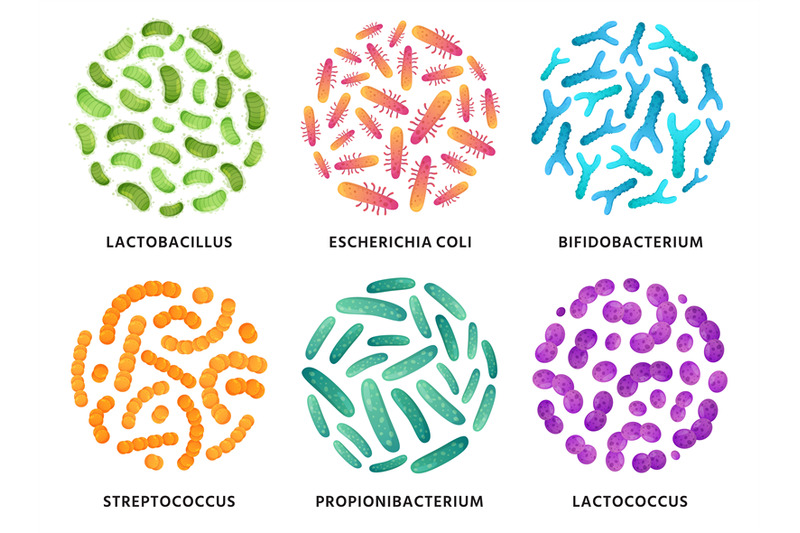 probiotics-lactobacillus-bifidobacterium-and-lactococcus-probiotic-b