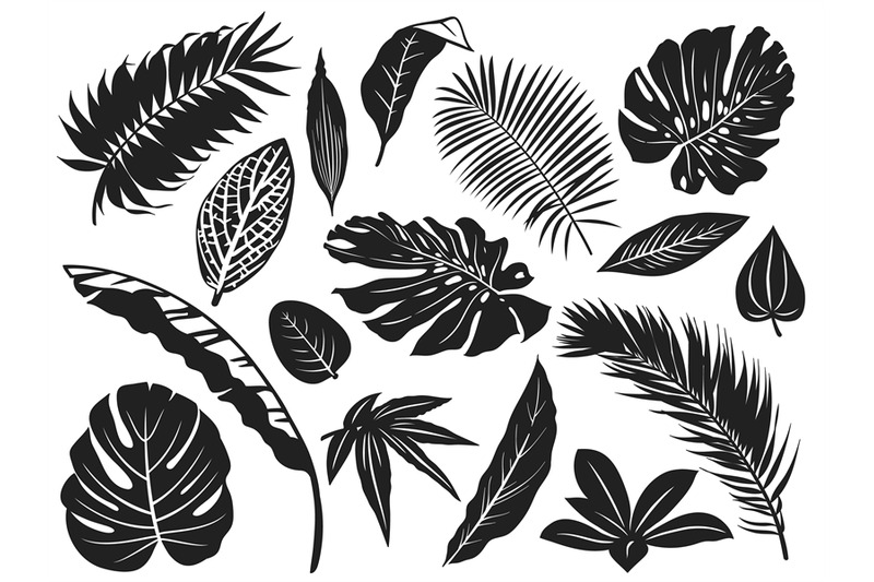 tropical-leaves-silhouette-palm-tree-leaf-coconut-trees-and-monstera