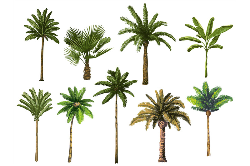 colourful-hand-drawn-palm-tree-retro-tropical-coconut-trees-vintage