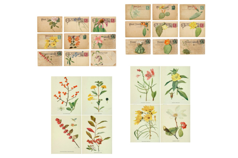 blooming-desert-rose-botanical-journal-scrapbook-kit